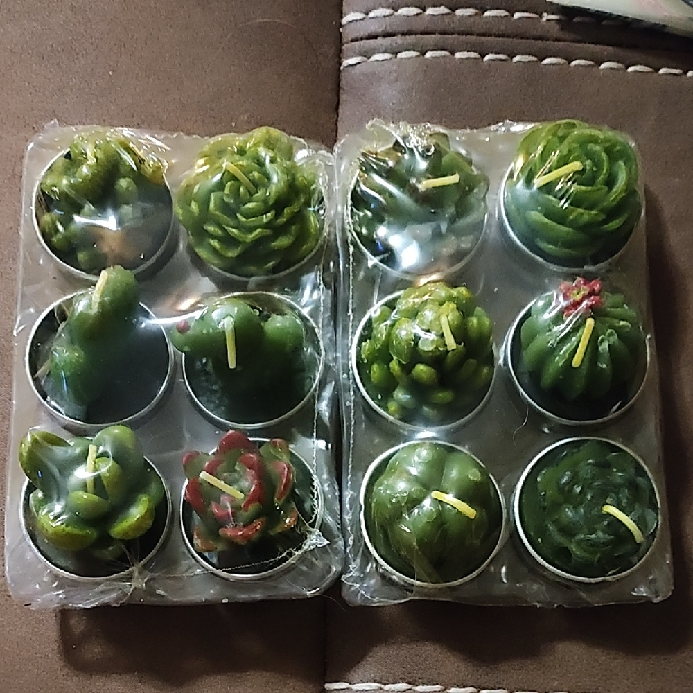 Set of Green Succulent Candles